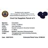 Image 2 : 17.4ctw Oval Cut Sapphire Parcel