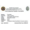 Image 2 : 9.14ctw Cabochon Paraiba Tourmaline Parcel
