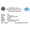 Image 2 : 60.22ctw Marquise Mixed Blue Topaz Parcel