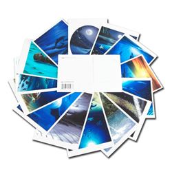15 Randomly Assorted Wyland 6x4 Postcards by Wyland