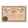 Image 1 : Bicycle Steel Tire Co. 1895.