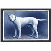 Image 1 : "Prince" the dog Large Die Proof Engraving.