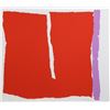 Image 1 : Raymond Parker, Untitled 17, Silkscreen
