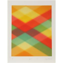 Barry Nelson, Cygnus, Aquatint Etching
