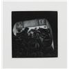 Image 1 : Gerde Ebert, Leaves, Mezzotint