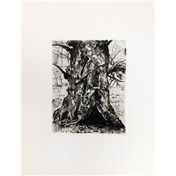 Joseph Stella, Tree Trunk, Aquatint Etching