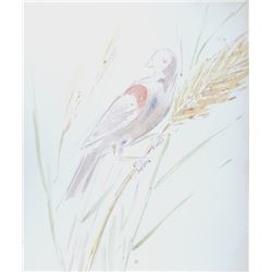 Charles Blaze Vukovich, Bird in Wheat Branch, Watercolor Painting