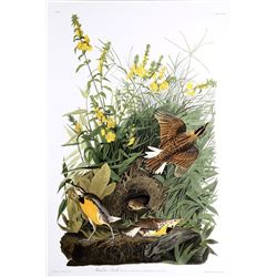 John James Audubon, Meadow Lark, Lithograph