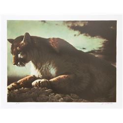 Nancy Glazier, Cougar, Lithograph