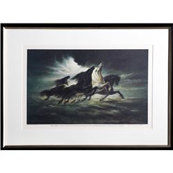 Lumen Martin Winter, Steeds of Apollo (Apollo XIII) Lithograph