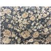Image 2 : 1 SLAB BALTIC BROWN GRANITE 110"X73"