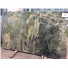Image 1 : 1 SLAB VERDE BAMBOO MARBLE 113"X69"