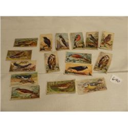 1912 Die Cut Bird Cards British Imperial