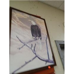 PICTURE - EAGLE