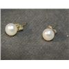 Image 1 : EARRINGS - NATURAL WHITE PEARLS IN STERLING SILVER POST AND BUTTERFLY SETTING - RETAIL ~$150