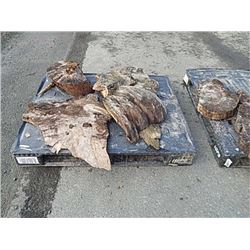 IN  HOUSE ONLY - ASSORTED BURLS - SOLD ON CHOICE - IN HOUSE ONLY