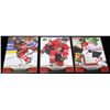 Image 1 : CONNOR MCDAVID TEAM CANADA HOCKEY CARDS X3