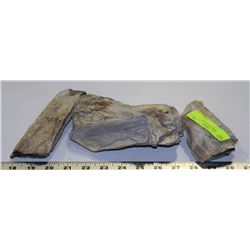 LOT OF 3 PCS OF PETRIFIED WOOD