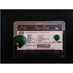 45.10 CT TRILLION CUT BRAZIL EMERALD WITH COA
