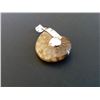 Image 1 : IRIDESCENT AMMOLITE FOSSIL PENDANT