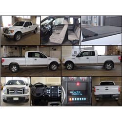 2010 FORD F-150 XLT
