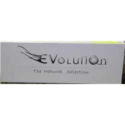 EVOLUTION PROFESSIONAL TOURMALINE STRAIGHTENER