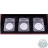 Image 2 : United States 2011 25th Anniversary 'First Strike' 5-coin Limited Edition Numbered Set of Silver eag