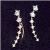 Image 2 : Fashion Earrings/Stud