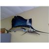 Image 1 : Marlin Fiberglass Wall Mount