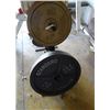 Image 2 : Weight Tree w/Weights & Bar