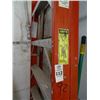 Image 2 : Werner 12' Stepladder