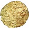 Image 2 : Rare Gold Pagoda Coin of Telugu Chodas of Nellore.