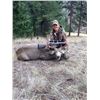 Image 1 : Mule Deer or Whitetail - Youth Hunt