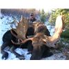 Image 1 : Shiras Moose Hunt