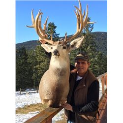 Mule Deer Hunt