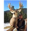 Image 1 : Mule Deer Hunt