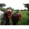 Image 1 : Complete Packing Gear for One Horse