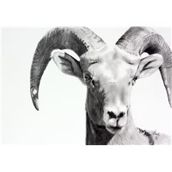 Quite Majesty by Wendy Mould