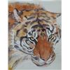 Image 1 : Ann Hilton - Tiger, Tiger