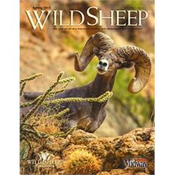 Wild Sheep Magazine 1/2 page ad