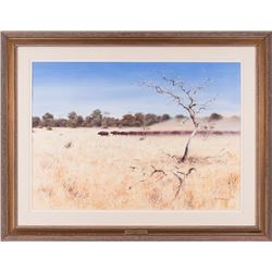 Roger McPhail, watercolor