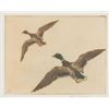Image 2 : Hans Kleiber, two etchings