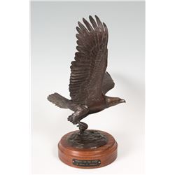 Steven E. Lillegard, bronze