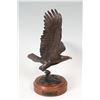Image 1 : Steven E. Lillegard, bronze