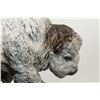 Image 3 : Joe Halko, bronze