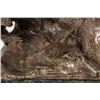 Image 2 : Edward Fraughton, bronze