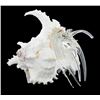 Image 2 : Blown Glass Hermit Crab in Shell (DEC-000375)