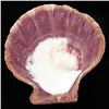 Image 1 : Shell Soapdish (DEC-000686)