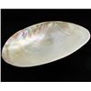 Image 1 : Shell Soapdish (DEC-000688)