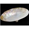 Image 1 : Shell Soapdish (DEC-000689)